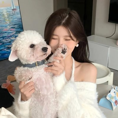 婚前一叮